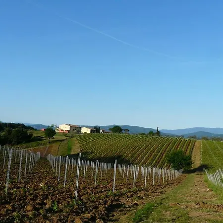 Country house Pian De Noci - Tenuta Del Palagio *
